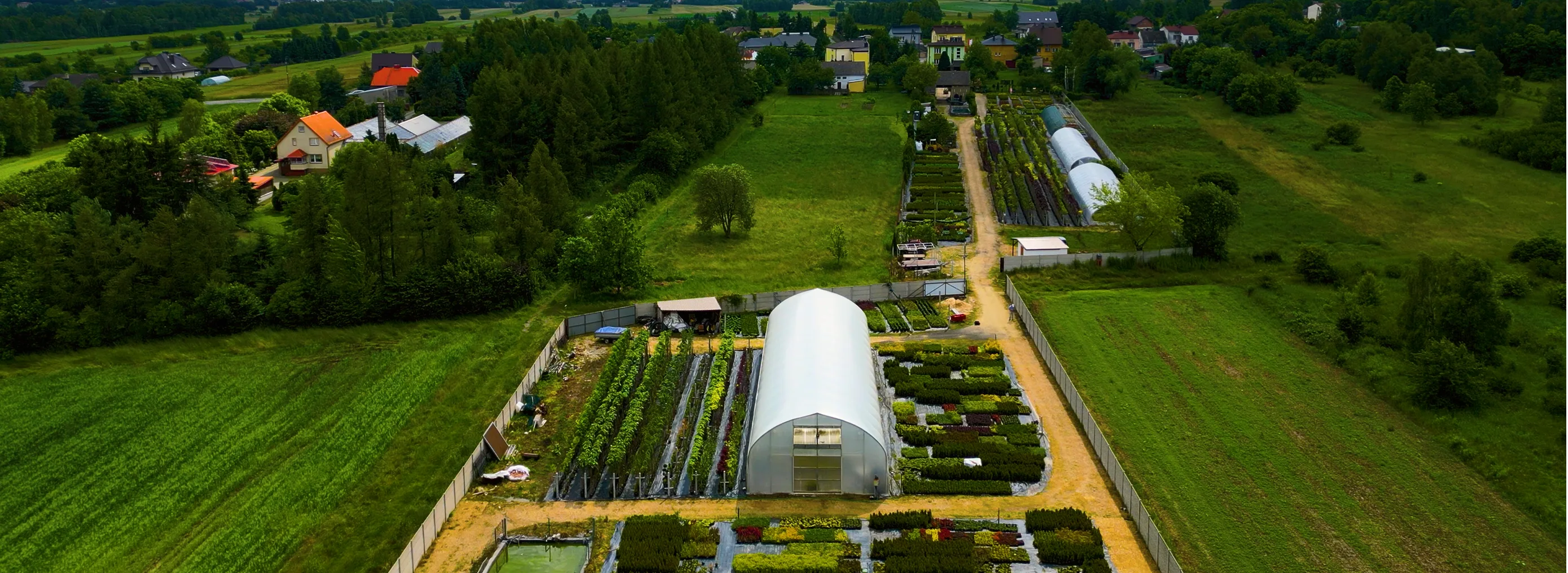 Widok z lotu ptaka szkółki drzew